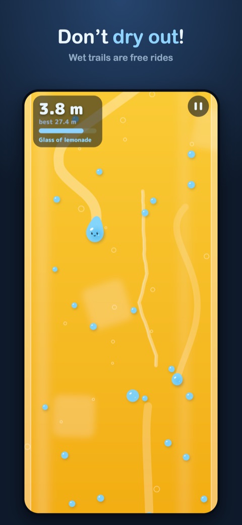 Adroption screenshot: the glass setting